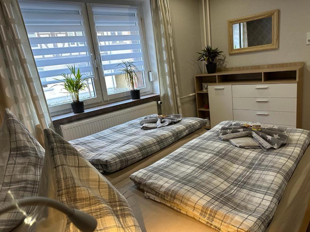 Christels Ferienwohnung 2 In Thale Mit Ueberdachter Terrasse, Kueche Mit Tv & Geschirrspueler מראה חיצוני תמונה